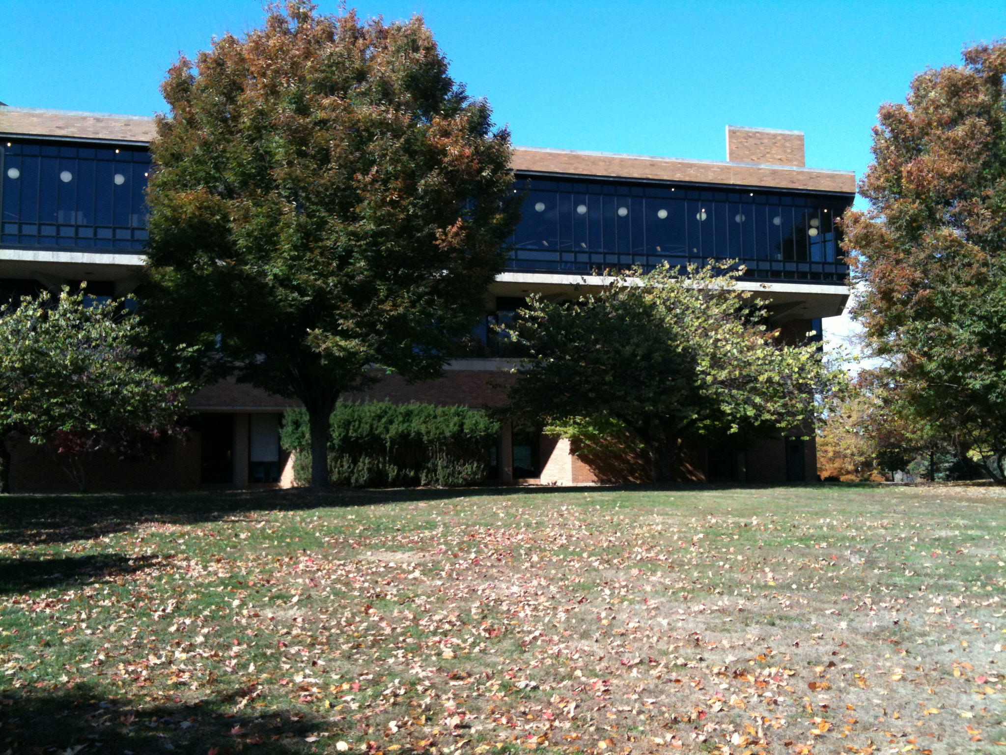Brookens Library at midday