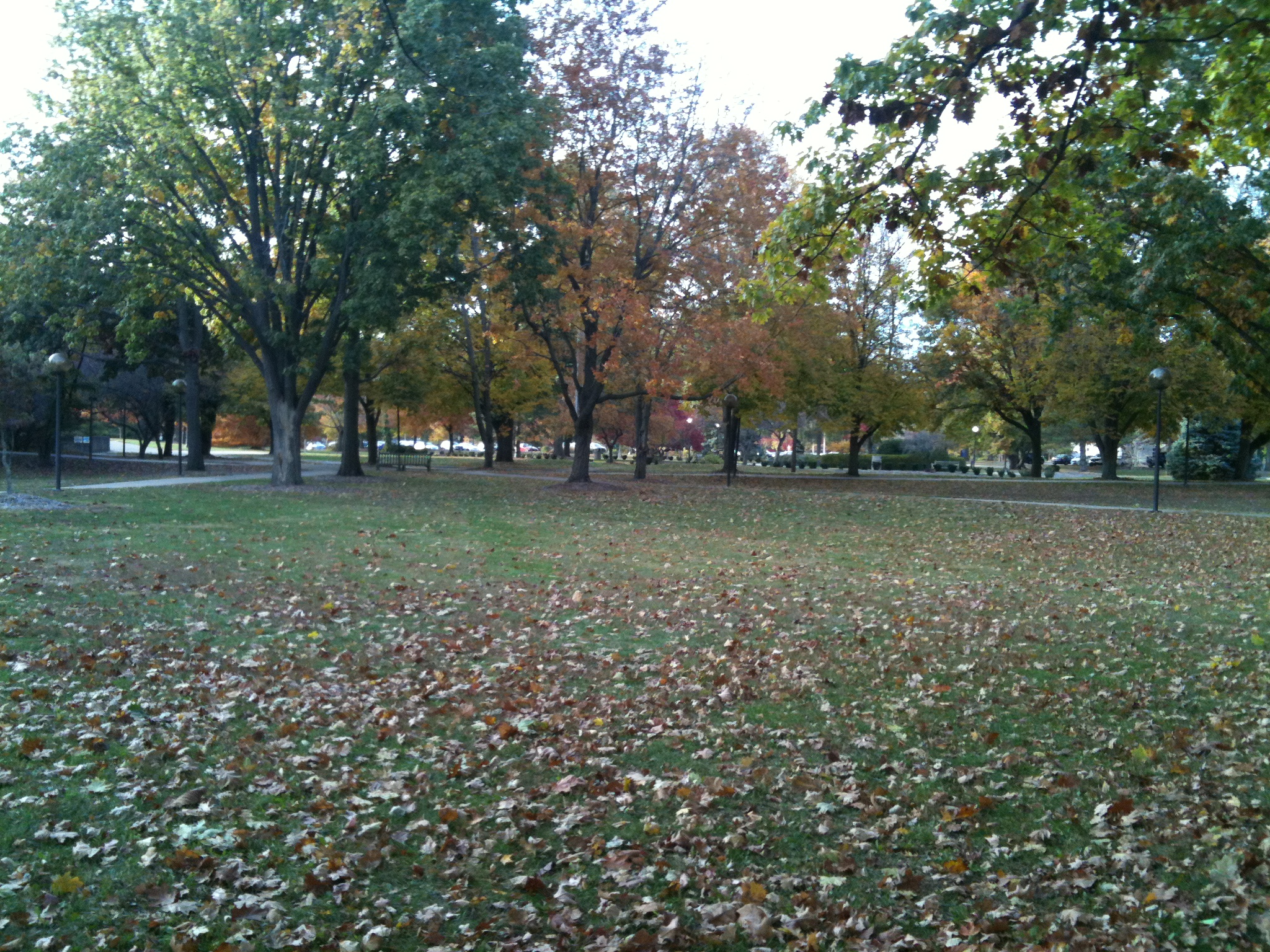 Green space adjacent to Parking Lot B in the late afternoon